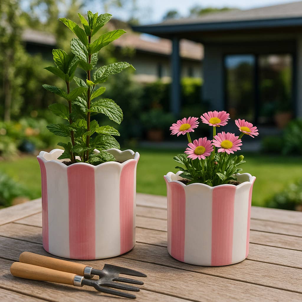 pink ceramic outdoor plant pot Pink Striped Scallop Planter 6" Pot