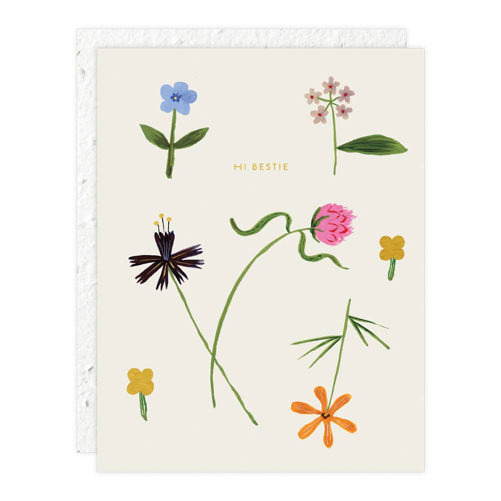 friendship plant seeds Quirky Petals Friendship Card