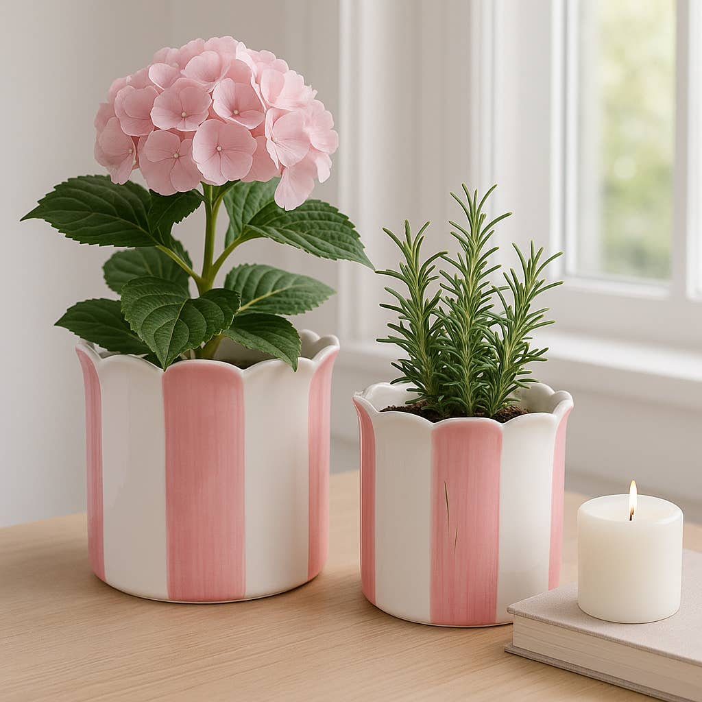 Pink Striped Scallop Planter 6