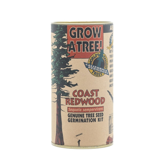 Coast Redwood Seed Grow Kit