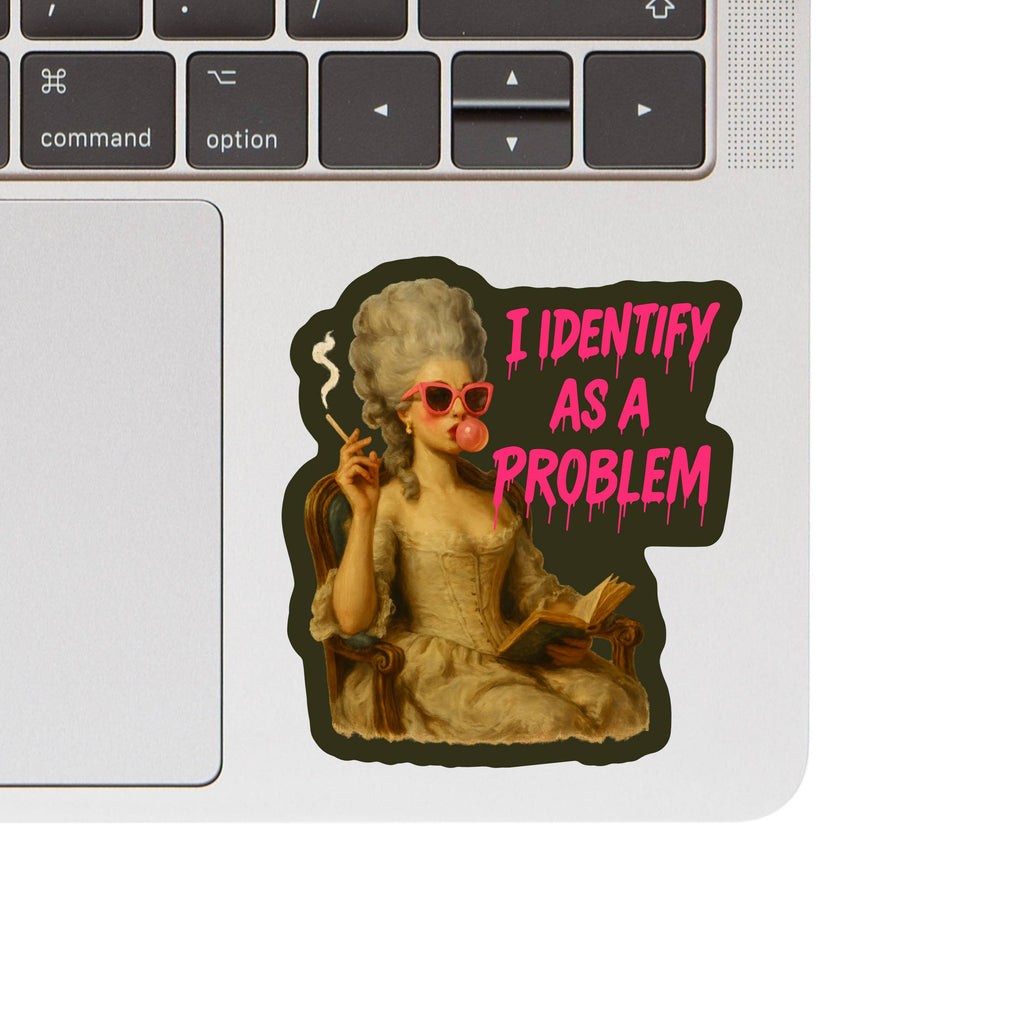 I Identify as The Problem Sticker | Hartford Prints