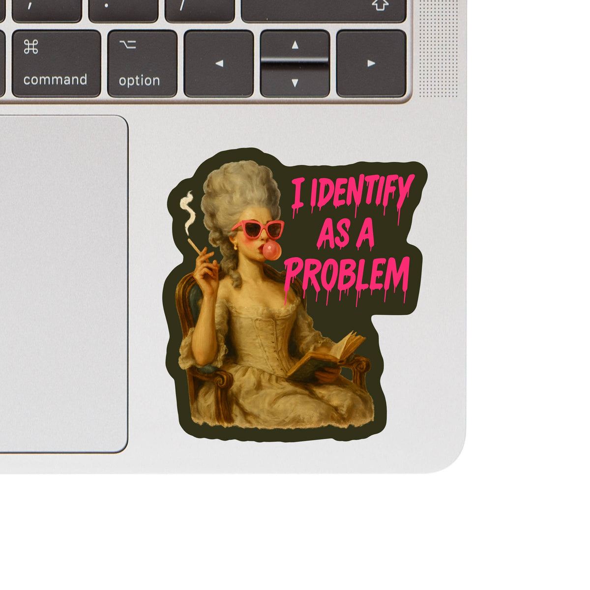 I Identify as The Problem Sticker | Hartford Prints