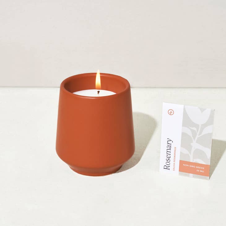 Rooted Candle - Rosemary & Cedar