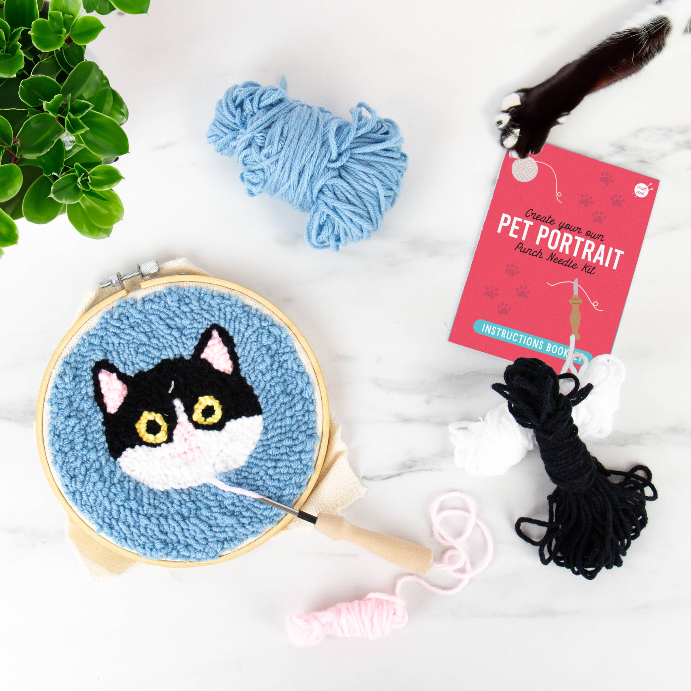 Pet Portaits - Cat Punch Needle | Hartford Prints