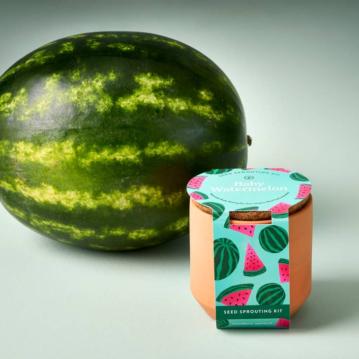 Tiny Terracotta Garden Kit - Baby Watermelon