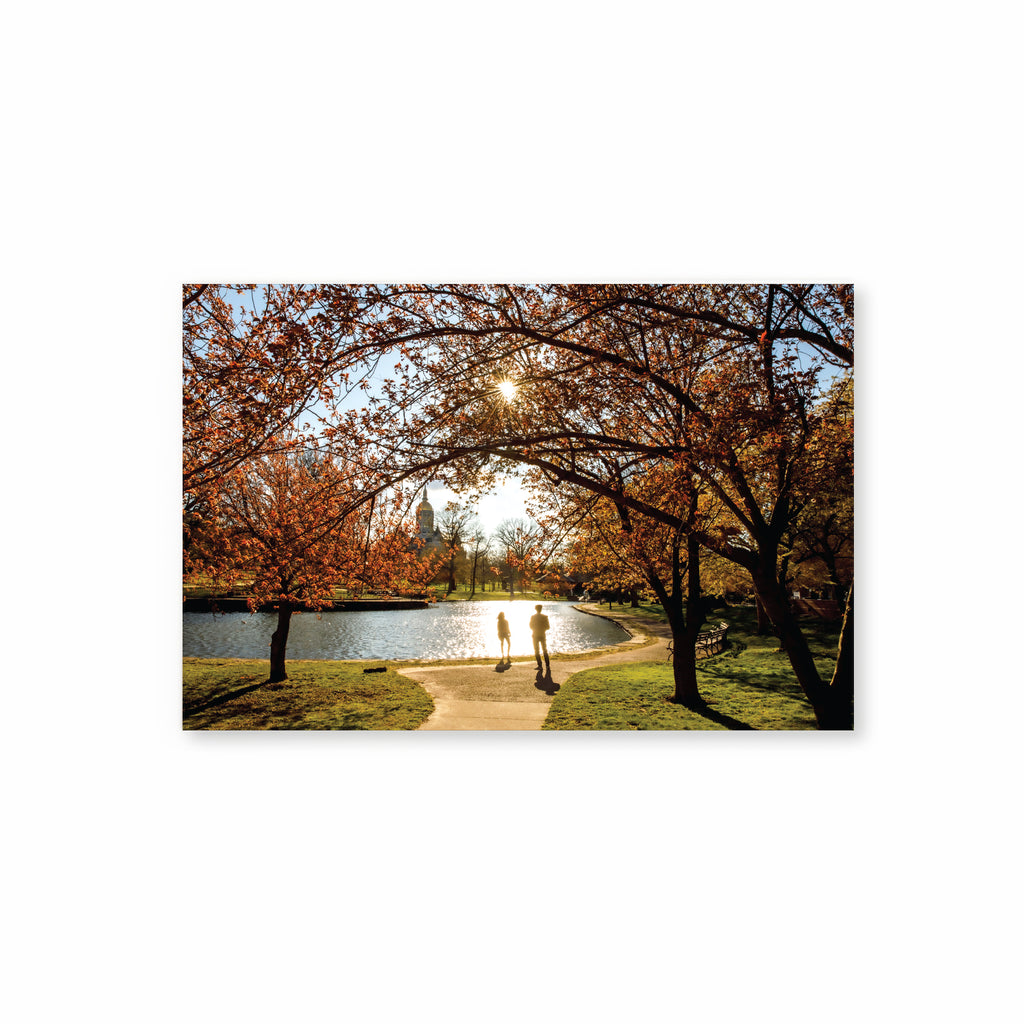 HP | Bushnell Park Spring Postcard